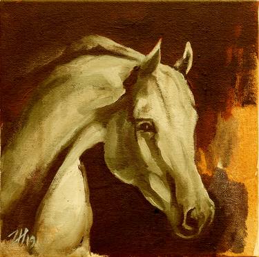 Equine Head Arab White (study 32) thumb