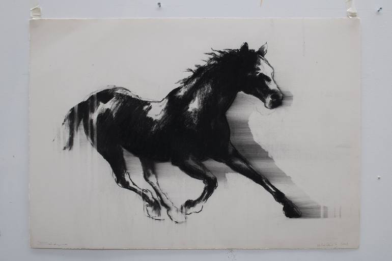 Original Expressionism Horse Drawing by Zil Hoque