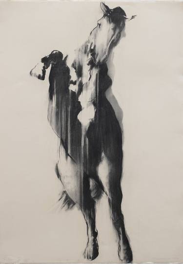 Print of Expressionism Horse Drawings by Zil Hoque