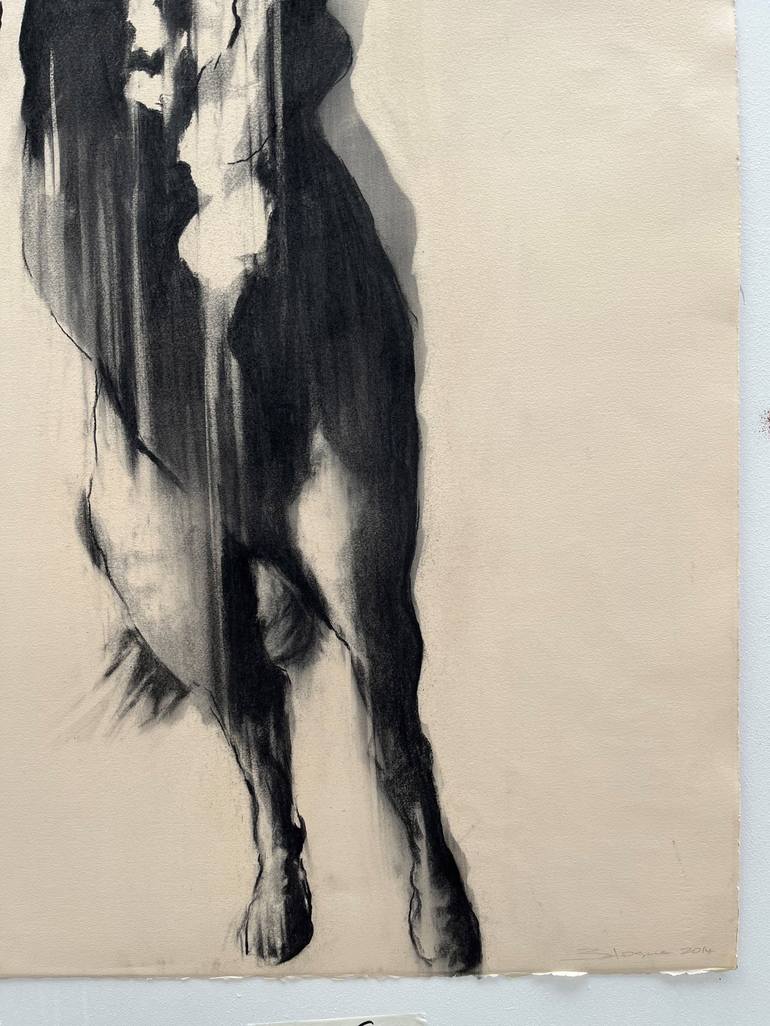 Original Horse Drawing by Zil Hoque