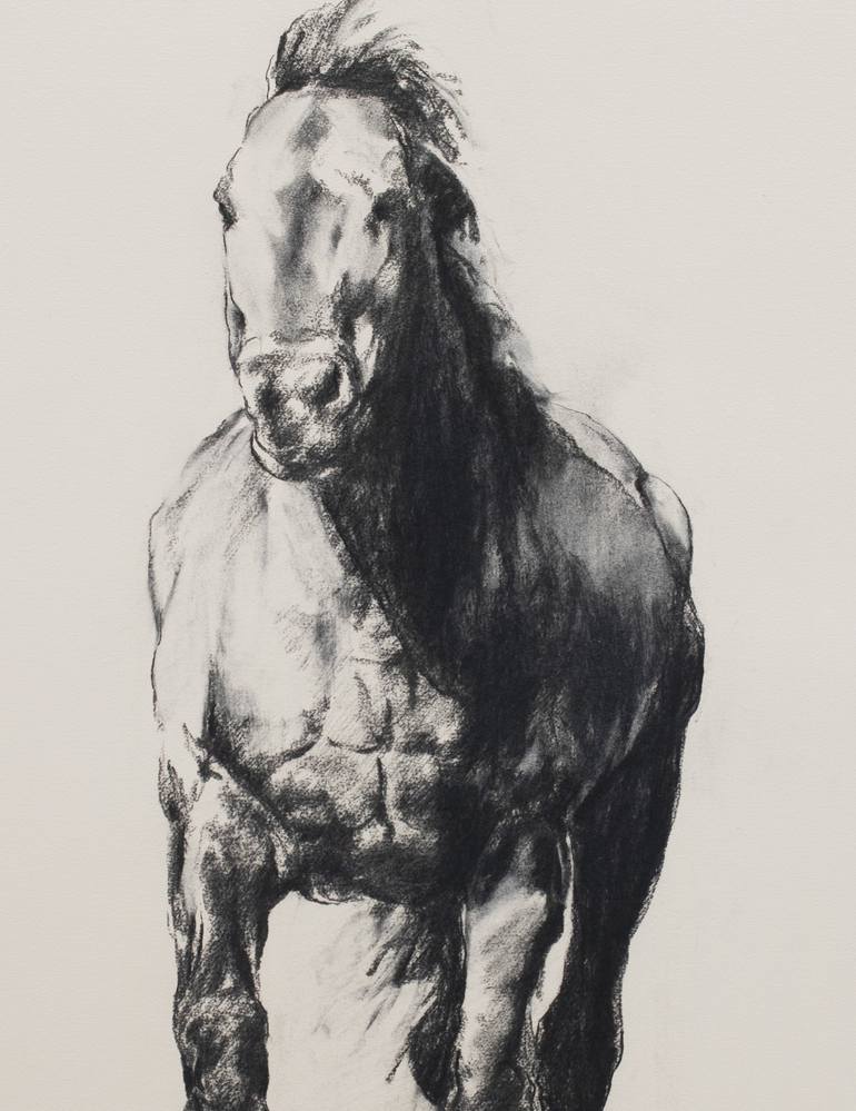 Original Impressionism Horse Drawing by Zil Hoque