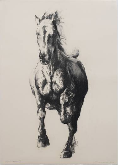 Print of Figurative Horse Drawings by Zil Hoque