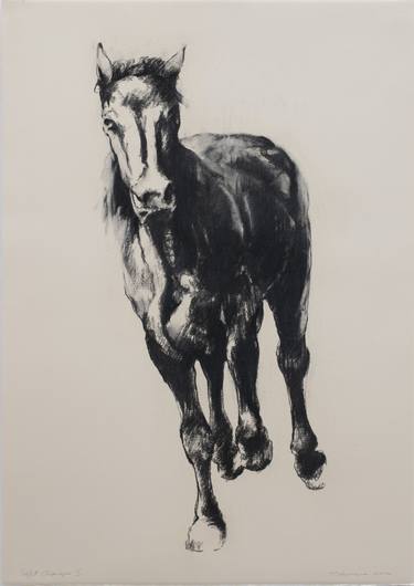 Print of Figurative Horse Drawings by Zil Hoque