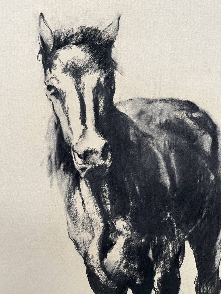 Original Figurative Horse Drawing by Zil Hoque