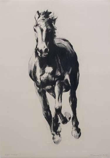 Print of Horse Drawings by Zil Hoque