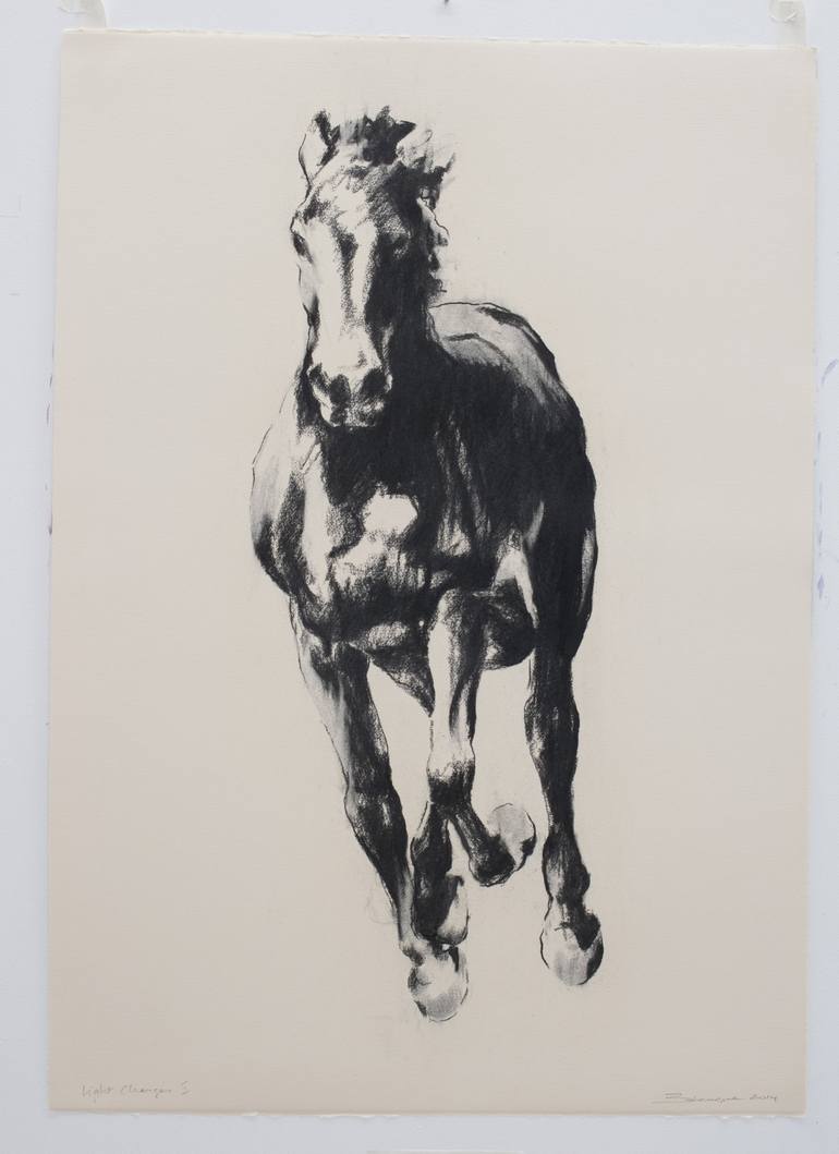 Original Figurative Horse Drawing by Zil Hoque