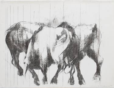 Original Animal Drawings by Zil Hoque
