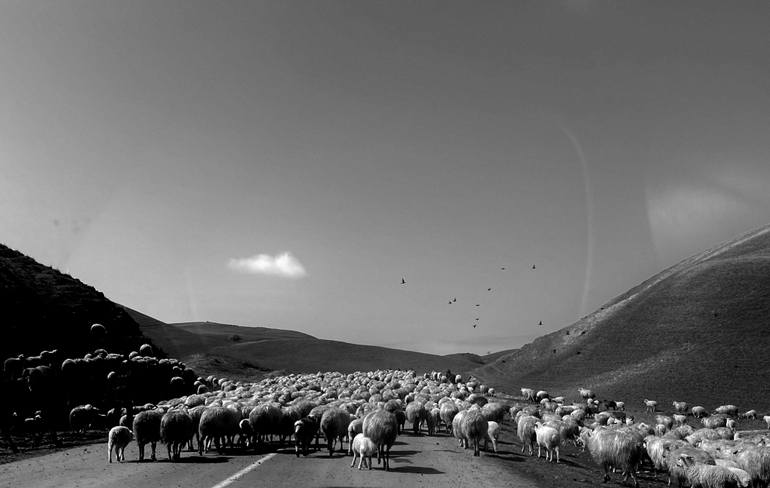 Original Still Life Photography by Salome Shubitidze | Black & White Art on Paper | ONLY I SEE YOU (No. 4) __ Rural Georgia Photo Print