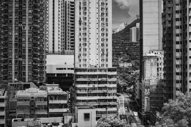 The Hong Kong Theory - Aberdeen Main Road thumb