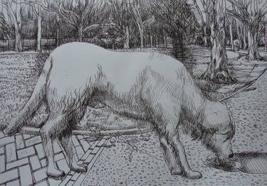 Print of Expressionism Animal Drawings by Vincent Donlin