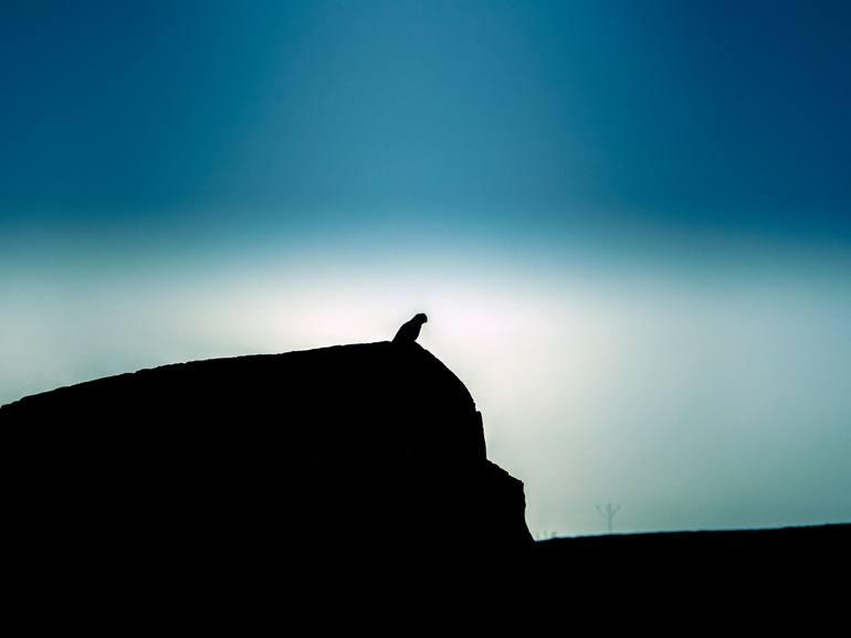 Original Sunset Photography by Praveen Kumar Singh | Photorealism Art on Paper | Against the Fading Light