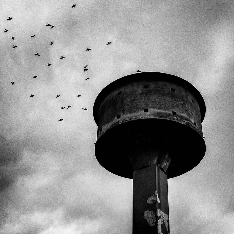 Original Architecture Photography by Angelo Casoni | Black & White Art on Paper | Water Tower and Birds