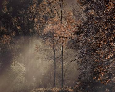 Morning fog, Turrite Cava, Italy, october 2014 / Limited Edition 2 of 10 thumb