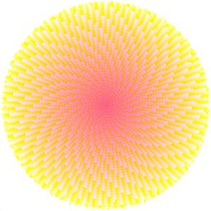 Abdel Bounane (Digital Mogul)