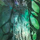 Les Passiflores #1 by Virginie Gallois