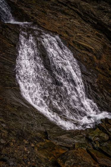 Original Fine Art Nature Photography by Gonzalo Contreras del Solar