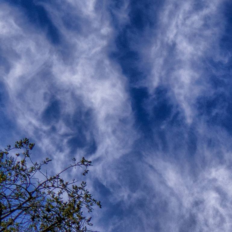 Original Abstract Nature Photography by Gonzalo Contreras Del Solar