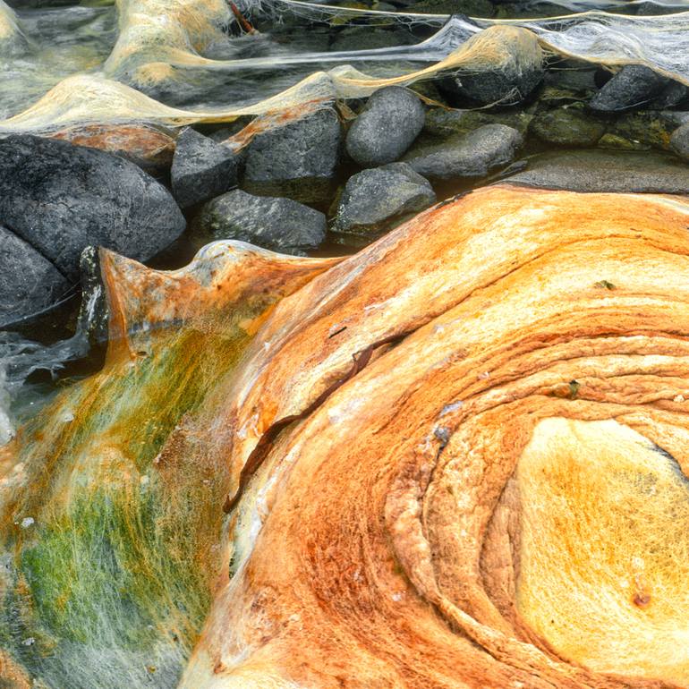 Original Abstract Nature Photography by Gonzalo Contreras Del Solar