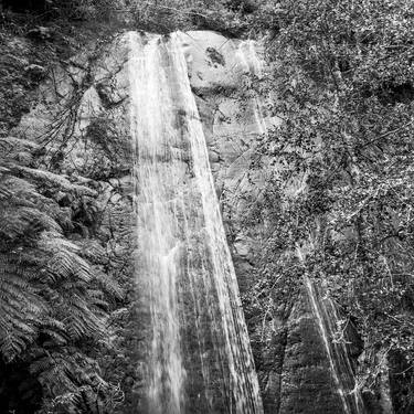 0427-05_2 - Sichahue - Lago Ranco - Chile - Edition 2 of 5 thumb