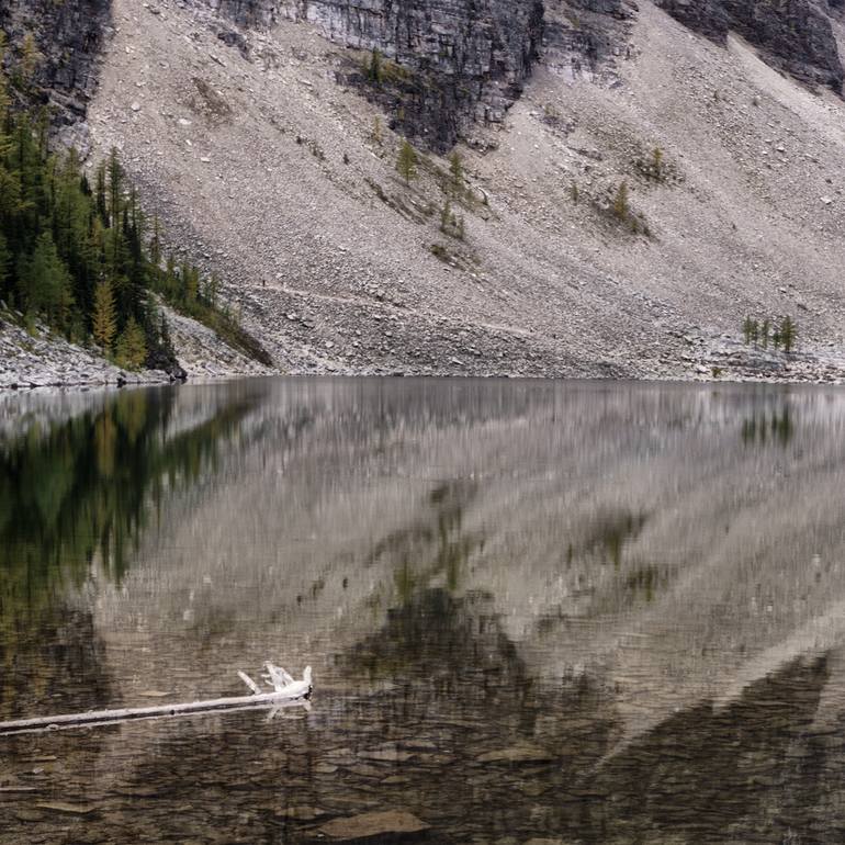 Original Other Nature Photography by Gonzalo Contreras Del Solar