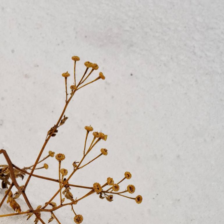 Original Photorealism Landscape Photography by Gonzalo Contreras Del Solar