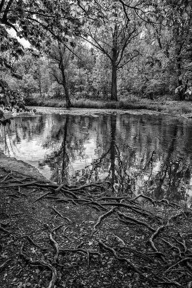 Original Photorealism Water Photography by Gonzalo Contreras Del Solar
