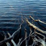 Collection Lago Coihuin