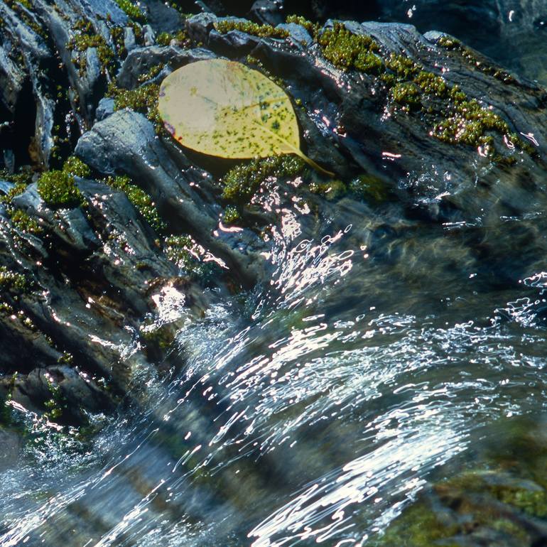 Original Abstract Water Photography by Gonzalo Contreras Del Solar