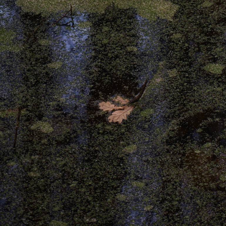 Original Abstract Water Photography by Gonzalo Contreras Del Solar