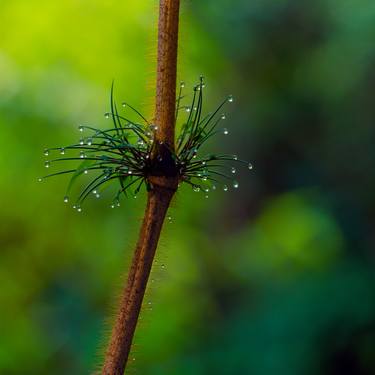 Original Water Photography by Gonzalo Contreras del Solar