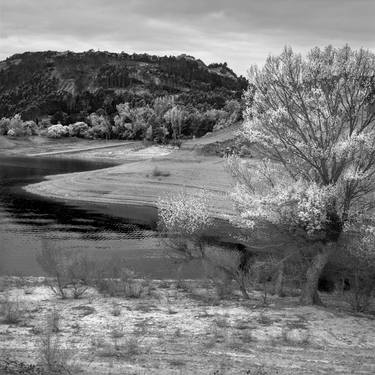 Original Nature Photography by Gonzalo Contreras del Solar