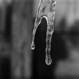 Collection Frozen water