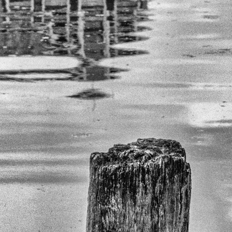 Original Other Nature Photography by Gonzalo Contreras Del Solar