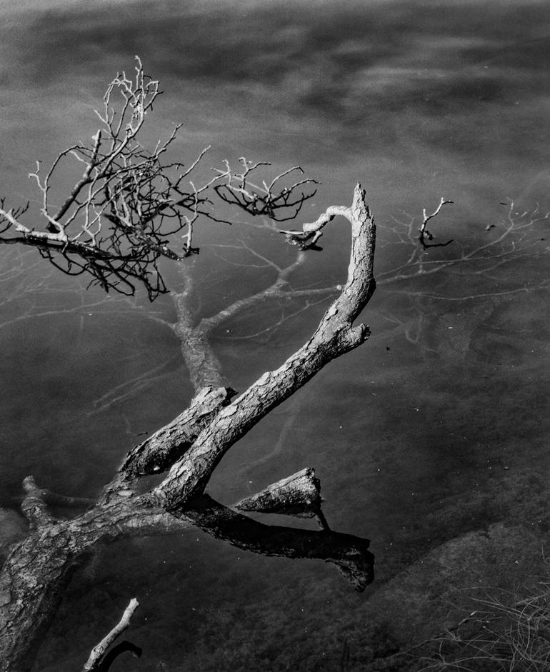 Original Nature Photography by Gonzalo Contreras Del Solar | Fine Art Art on Paper | Lr0845-11_B_2 - Lago Coihuin - Chiloe - Chile - Limited Edition