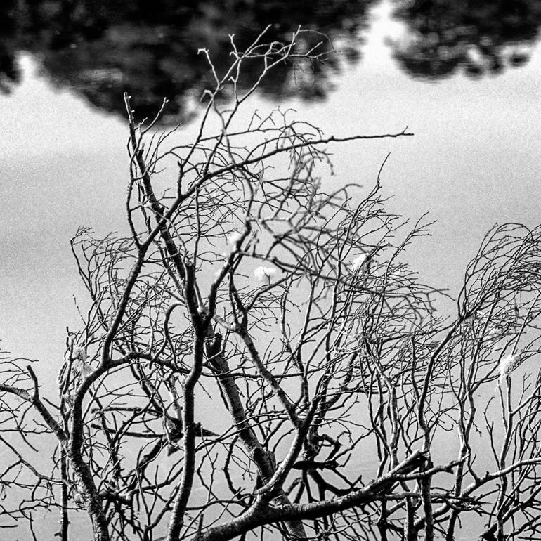 Original Other Nature Photography by Gonzalo Contreras Del Solar