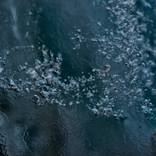 Collection Frozen water