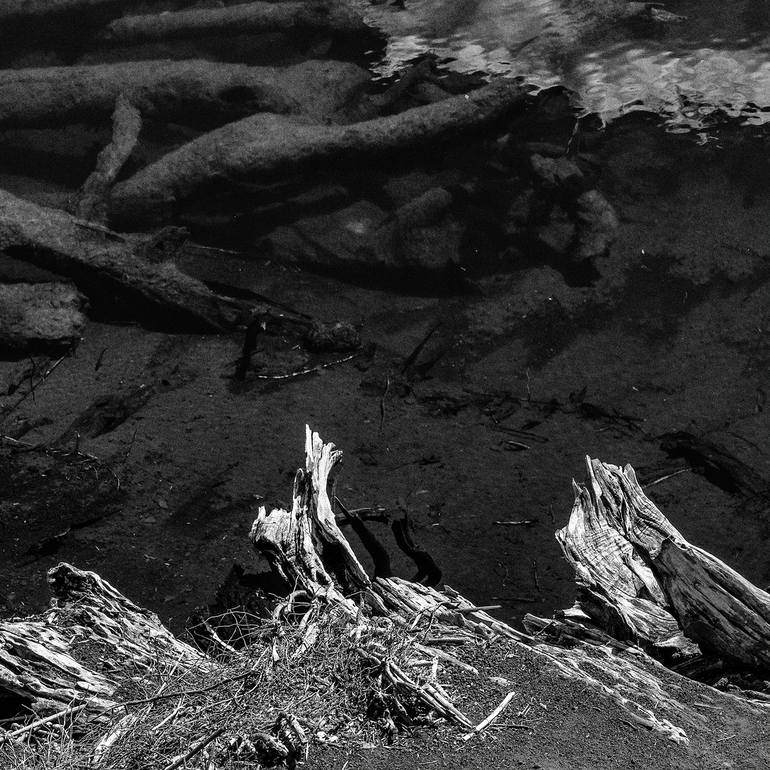 Original Abstract Nature Photography by Gonzalo Contreras Del Solar
