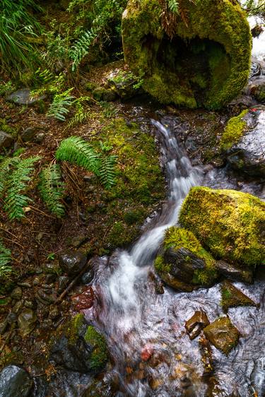 Original Nature Photography by Gonzalo Contreras del Solar