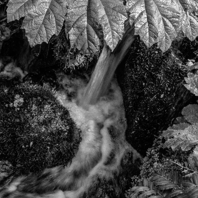 Original Other Nature Photography by Gonzalo Contreras Del Solar