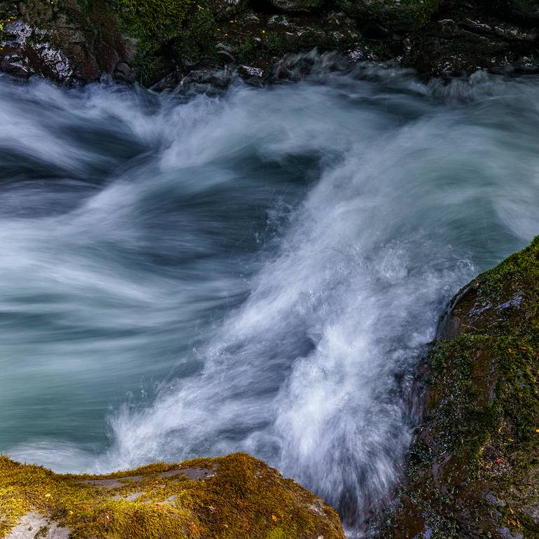Original Other Nature Photography by Gonzalo Contreras Del Solar