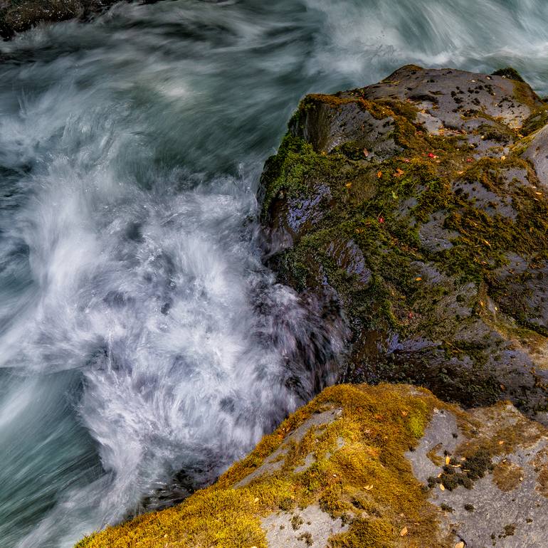Original Other Nature Photography by Gonzalo Contreras Del Solar