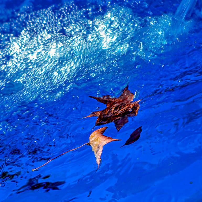 Original Other Nature Photography by Gonzalo Contreras Del Solar