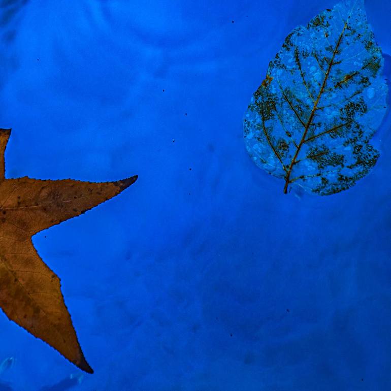 Original Abstract Nature Photography by Gonzalo Contreras Del Solar