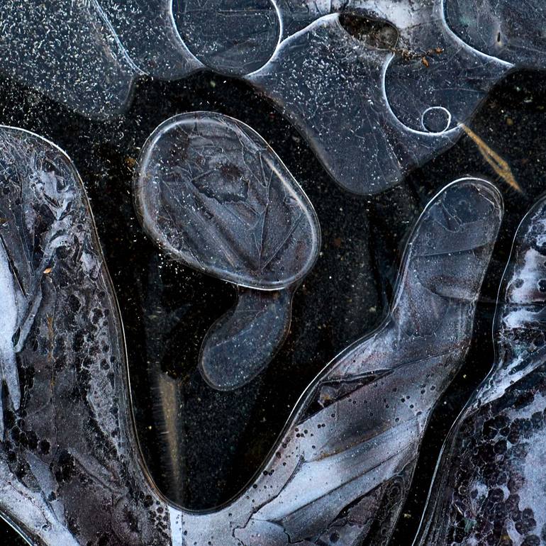 Original Abstract Nature Photography by Gonzalo Contreras Del Solar