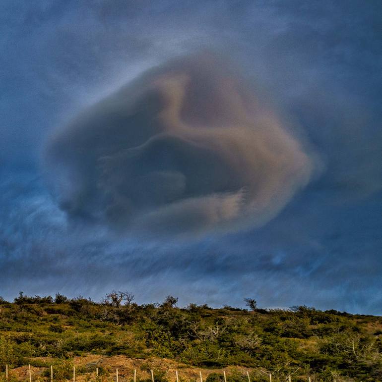 Original Abstract Nature Photography by Gonzalo Contreras Del Solar