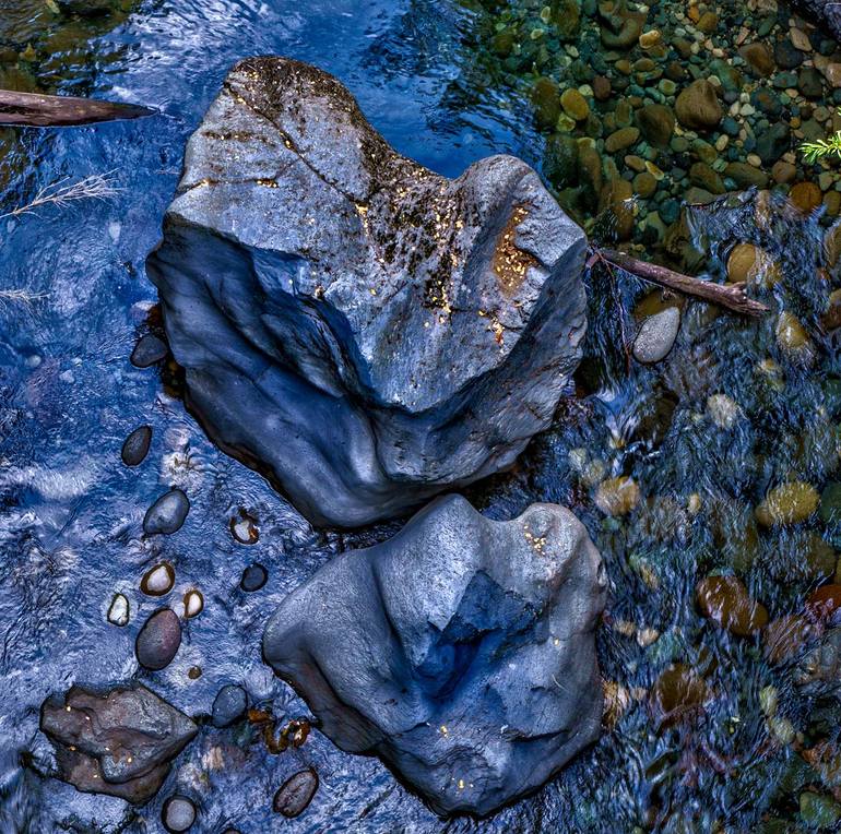 Original Abstract Nature Photography by Gonzalo Contreras Del Solar
