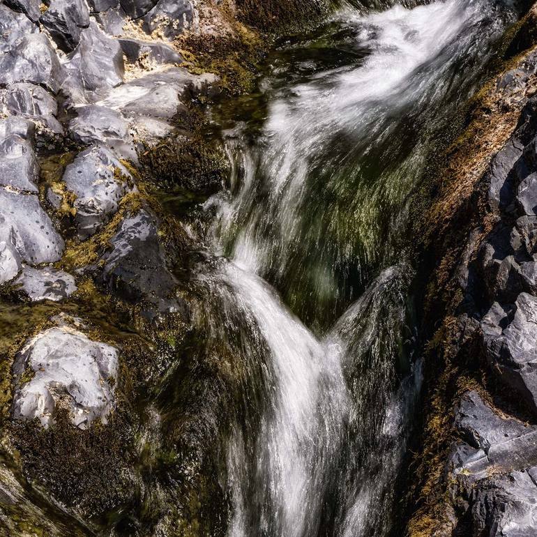 Original Abstract Nature Photography by Gonzalo Contreras Del Solar