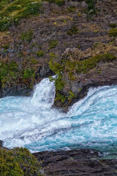 Original Nature Photography by Gonzalo Contreras del Solar