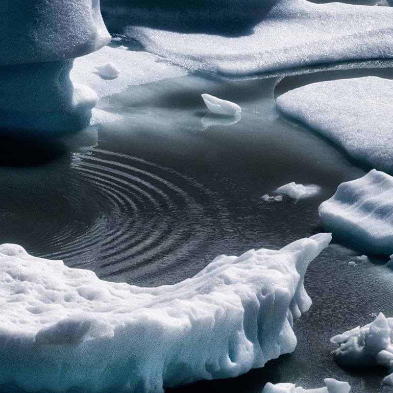 Original Abstract Nature Photography by Gonzalo Contreras Del Solar