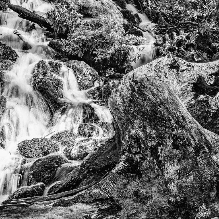 Original Abstract Nature Photography by Gonzalo Contreras Del Solar